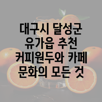 대구시 달성군 유가읍 추천 커피원두와 카페 문화의 모든 것