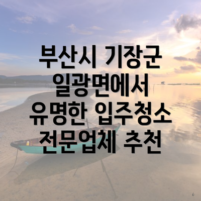 부산시 기장군 일광면에서 유명한 입주청소 전문업체 추천