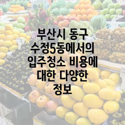 부산시 동구 수정5동에서의 입주청소 비용에 대한 다양한 정보