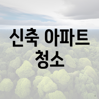 신축 아파트 청소