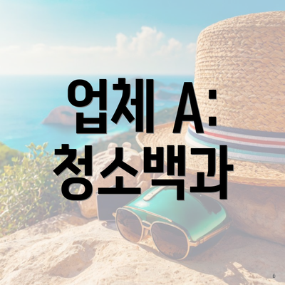 업체 A: 청소백과