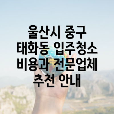 울산시 중구 태화동 입주청소 비용과 전문업체 추천 안내