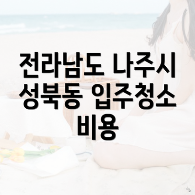 전라남도 나주시 성북동 입주청소 비용