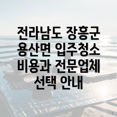 전라남도 장흥군 용산면 입주청소 비용과 전문업체 선택 안내