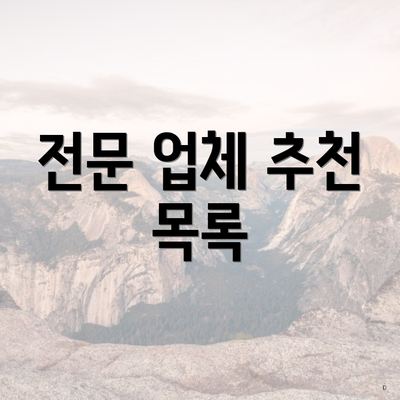 전문 업체 추천 목록