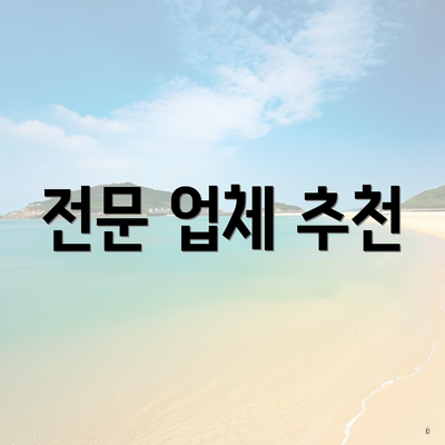 전문 업체 추천