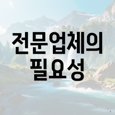 전문업체의 필요성