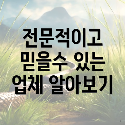 전문적이고 믿을수 있는 업체 알아보기