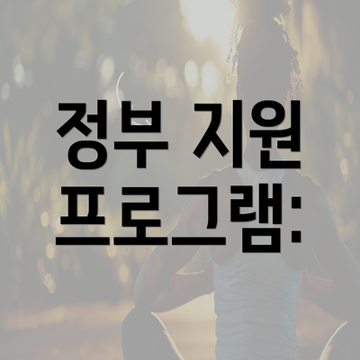 정부 지원 프로그램: