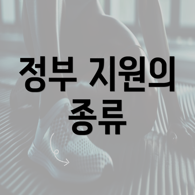 정부 지원의 종류