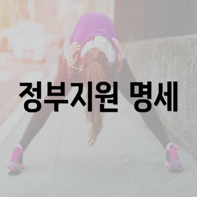 정부지원 명세