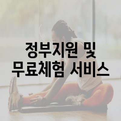 정부지원 및 무료체험 서비스