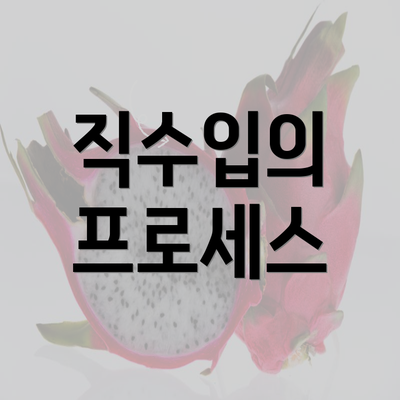 직수입의 프로세스