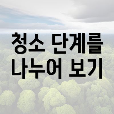 청소 단계를 나누어 보기