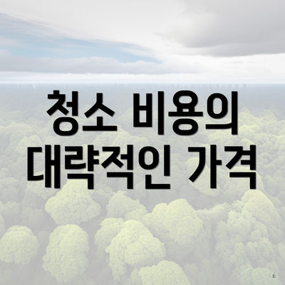 청소 비용의 대략적인 가격