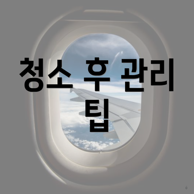 청소 후 관리 팁