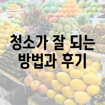 청소가 잘 되는 방법과 후기