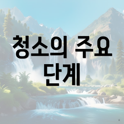 청소의 주요 단계