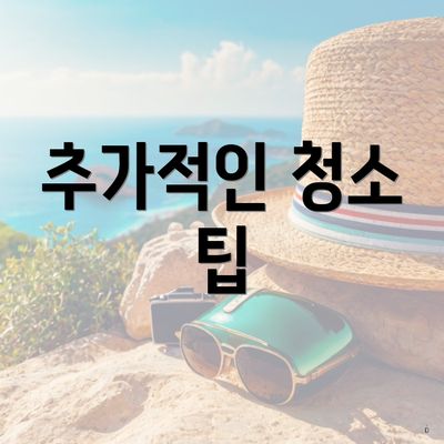 추가적인 청소 팁