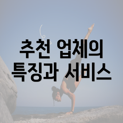 추천 업체의 특징과 서비스