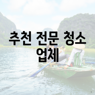 추천 전문 청소 업체