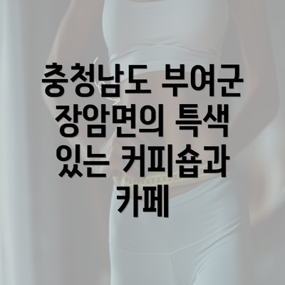 충청남도 부여군 장암면의 특색 있는 커피숍과 카페