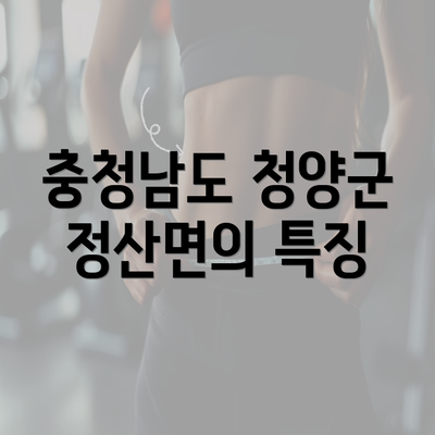 충청남도 청양군 정산면의 특징