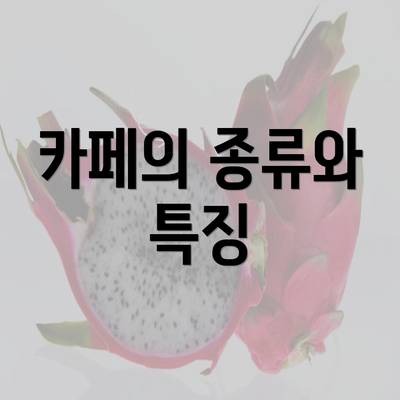 카페의 종류와 특징