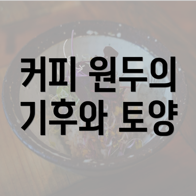 커피 원두의 기후와 토양