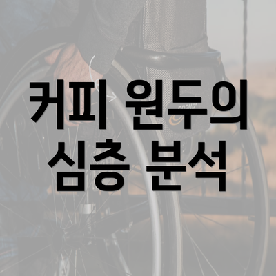 커피 원두의 심층 분석