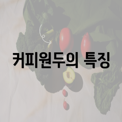 커피원두의 특징