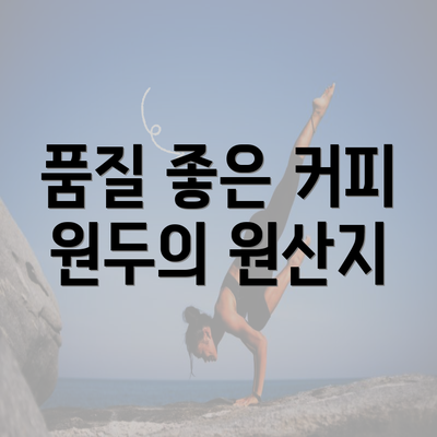 품질 좋은 커피 원두의 원산지