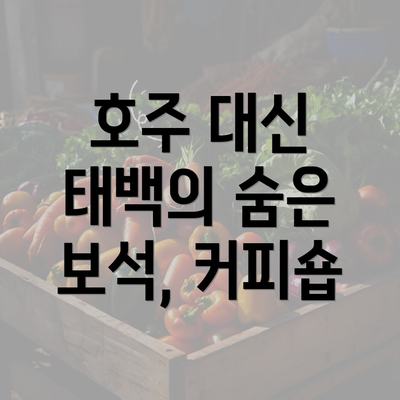 호주 대신 태백의 숨은 보석, 커피숍