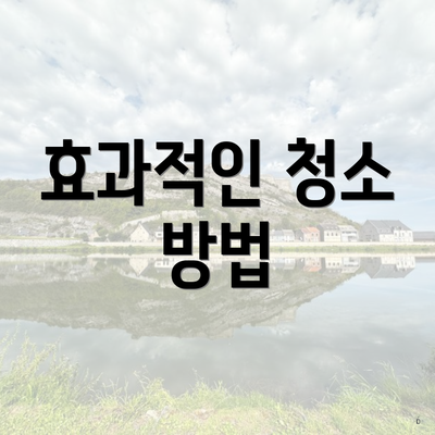 효과적인 청소 방법