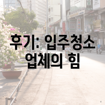 후기: 입주청소 업체의 힘