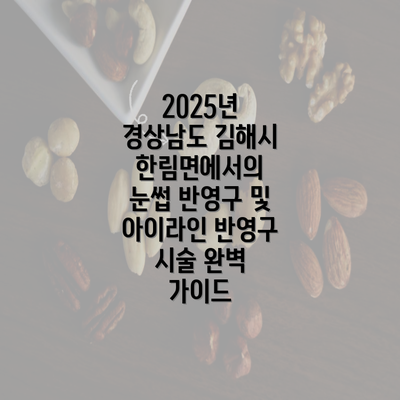 2025년 경상남도 김해시 한림면에서의 눈썹 반영구 및 아이라인 반영구 시술 완벽 가이드