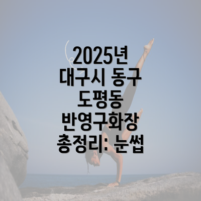 2025년 대구시 동구 도평동 반영구화장 총정리: 눈썹