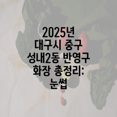 2025년 대구시 중구 성내2동 반영구 화장 총정리: 눈썹