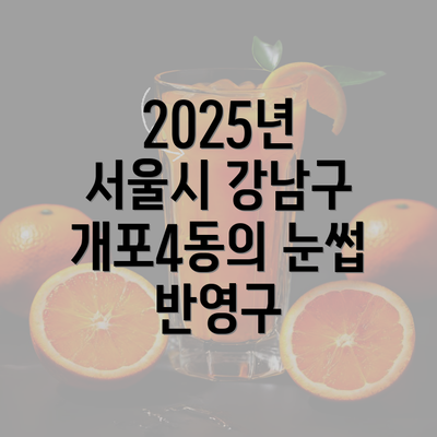 2025년 서울시 강남구 개포4동의 눈썹 반영구