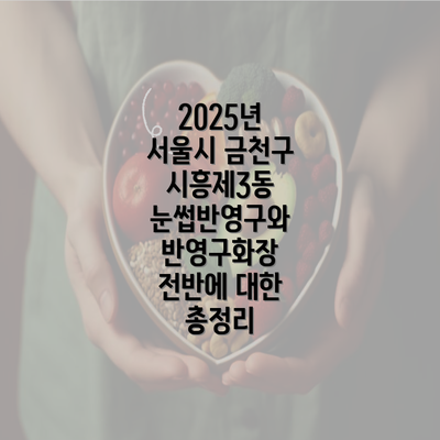 2025년 서울시 금천구 시흥제3동 눈썹반영구와 반영구화장 전반에 대한 총정리