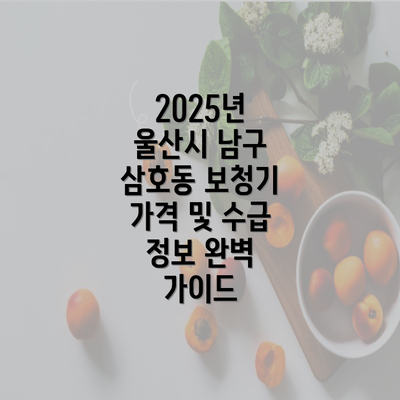 2025년 울산시 남구 삼호동 보청기 가격 및 수급 정보 완벽 가이드