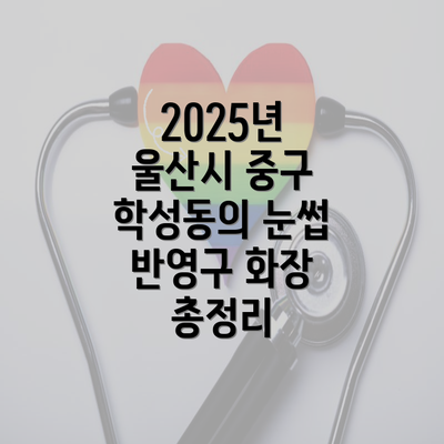 2025년 울산시 중구 학성동의 눈썹 반영구 화장 총정리