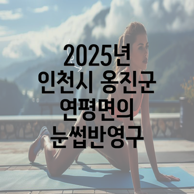 2025년 인천시 옹진군 연평면의 눈썹반영구