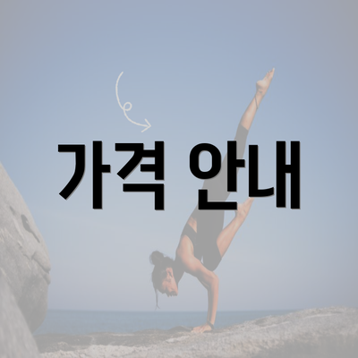 가격 안내