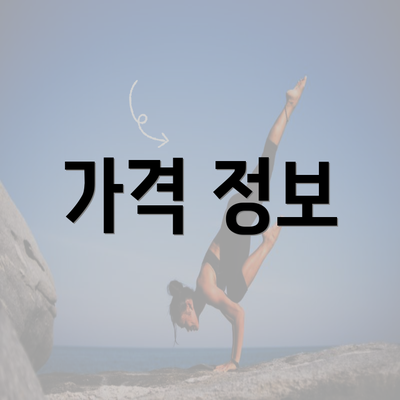 가격 정보