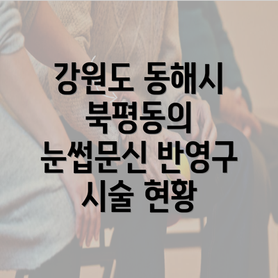 강원도 동해시 북평동의 눈썹문신 반영구 시술 현황