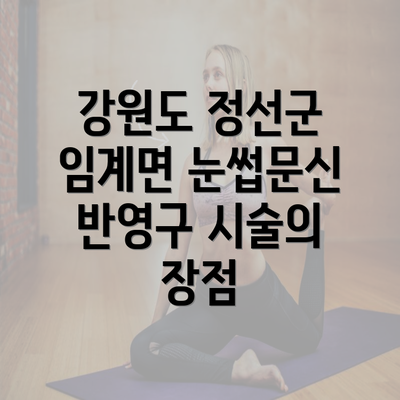 강원도 정선군 임계면 눈썹문신 반영구 시술의 장점