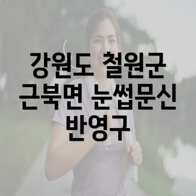 강원도 철원군 근북면 눈썹문신 반영구