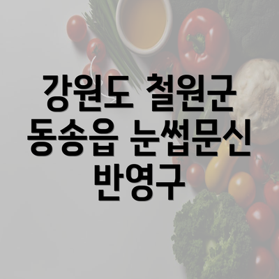 강원도 철원군 동송읍 눈썹문신 반영구