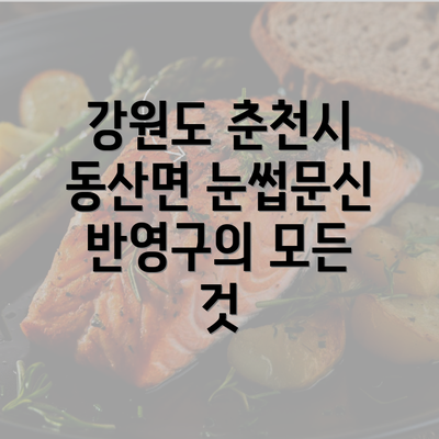 강원도 춘천시 동산면 눈썹문신 반영구의 모든 것